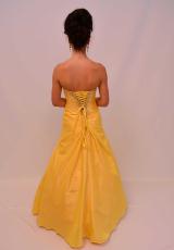Daisy Yellow